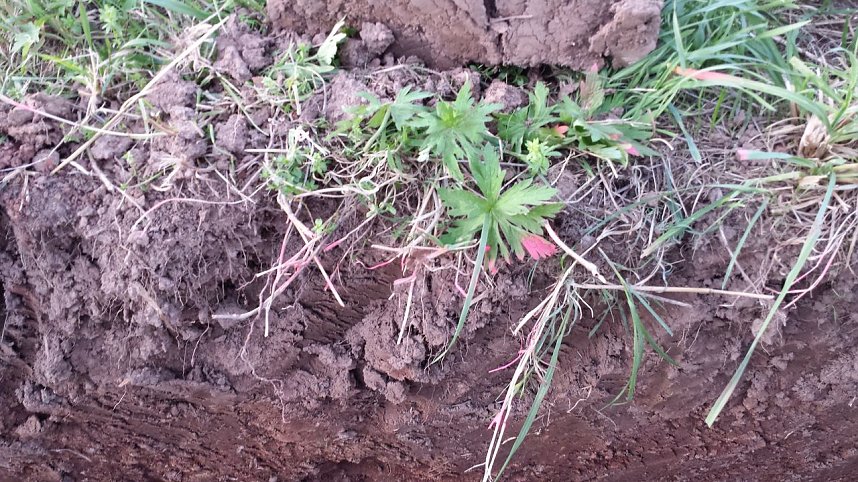 Rund um die Salza-Quelle