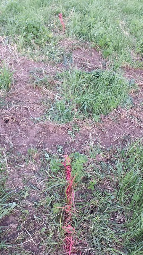 Rund um die Salza-Quelle