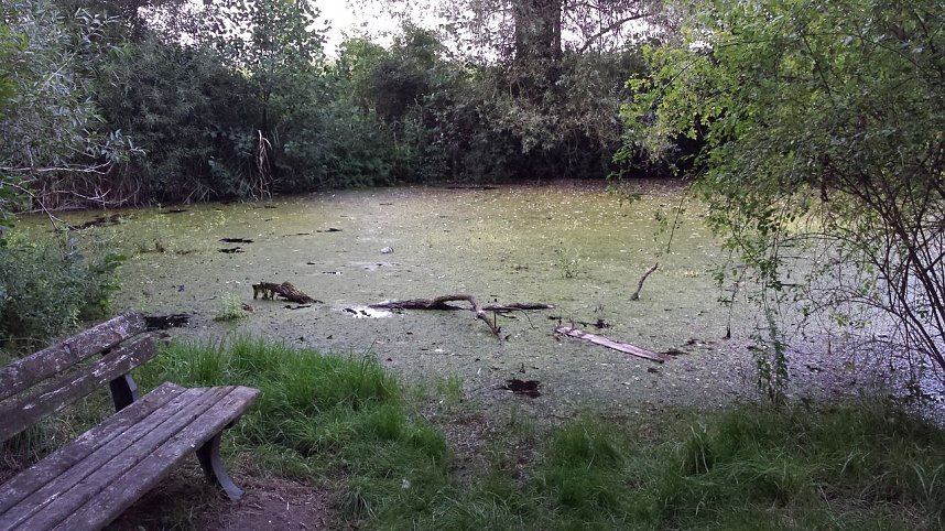 Rund um die Salza-Quelle