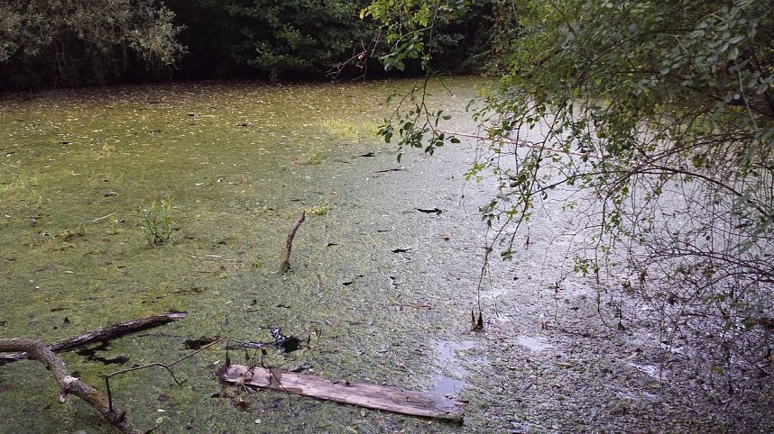 Rund um die Salza-Quelle