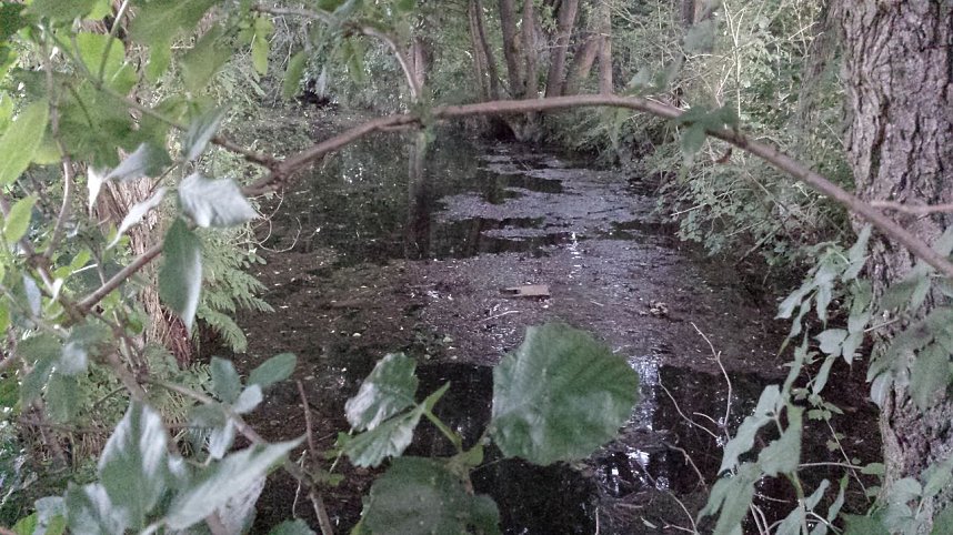 Rund um die Salza-Quelle