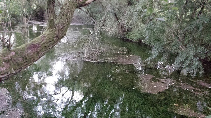 Rund um die Salza-Quelle