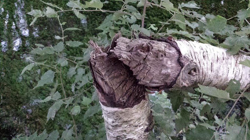 Rund um die Salza-Quelle