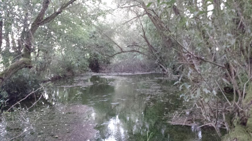 Rund um die Salza-Quelle