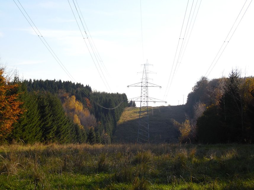 Zum Besuch im Hufhaus