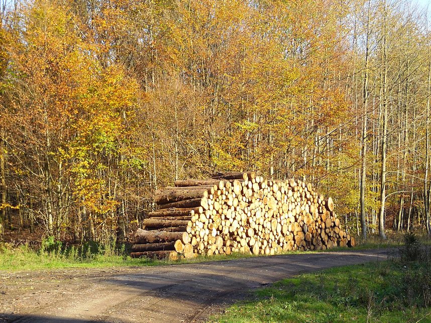 Zum Besuch im Hufhaus