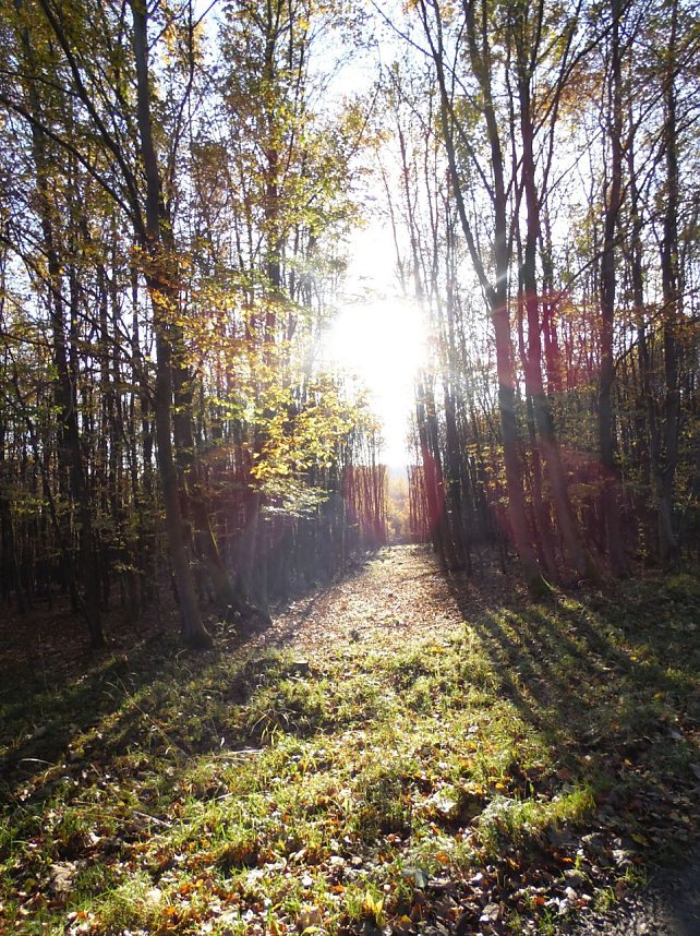 Zum Besuch im Hufhaus