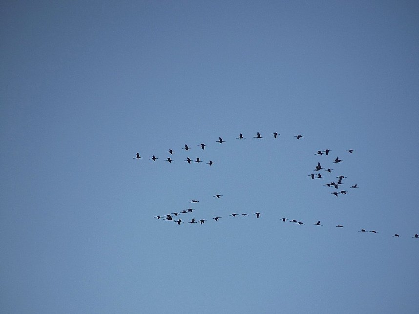 Zum Besuch im Hufhaus