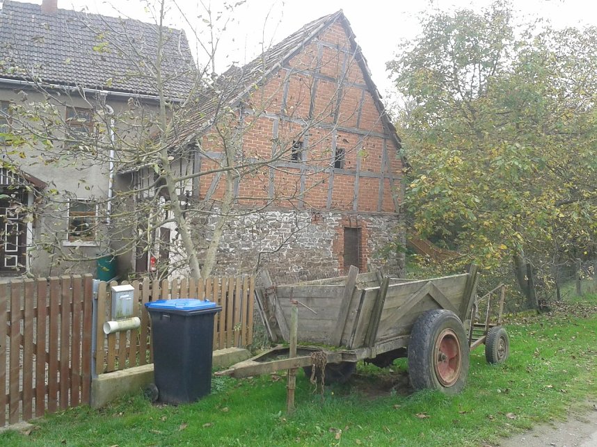 100 Kilometer "am St&uuml;ck"