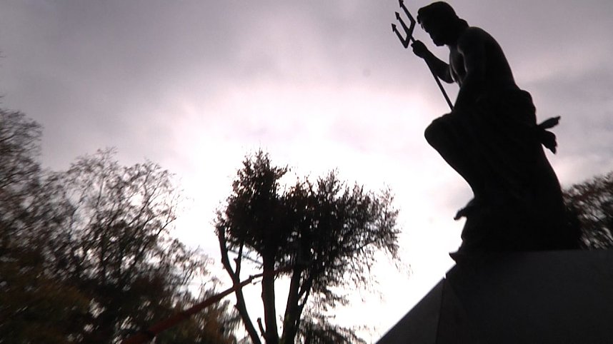 Mein Freund der Baum