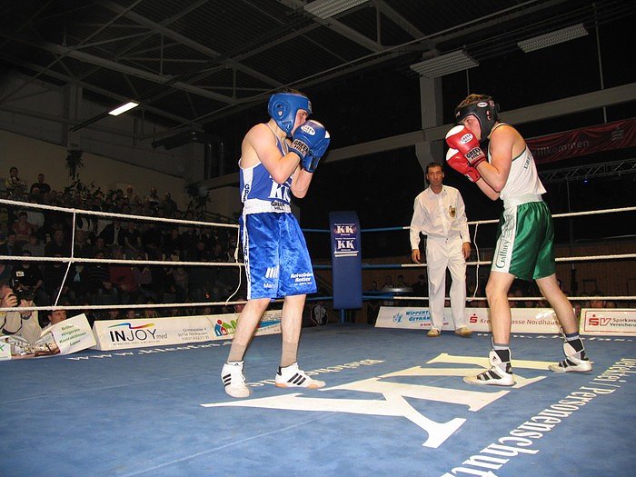 Sieg f&uuml;r die Nordh&auml;user Boxstaffel