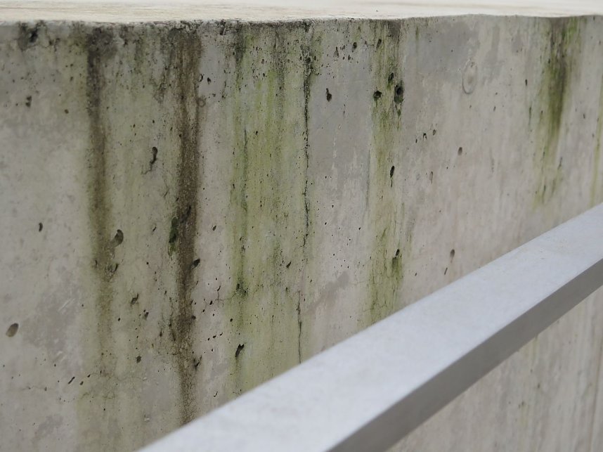 Profi-Arbeit am 15-Millionen-Euro-Komplex - erste Ans&auml;tze einer Veralgung