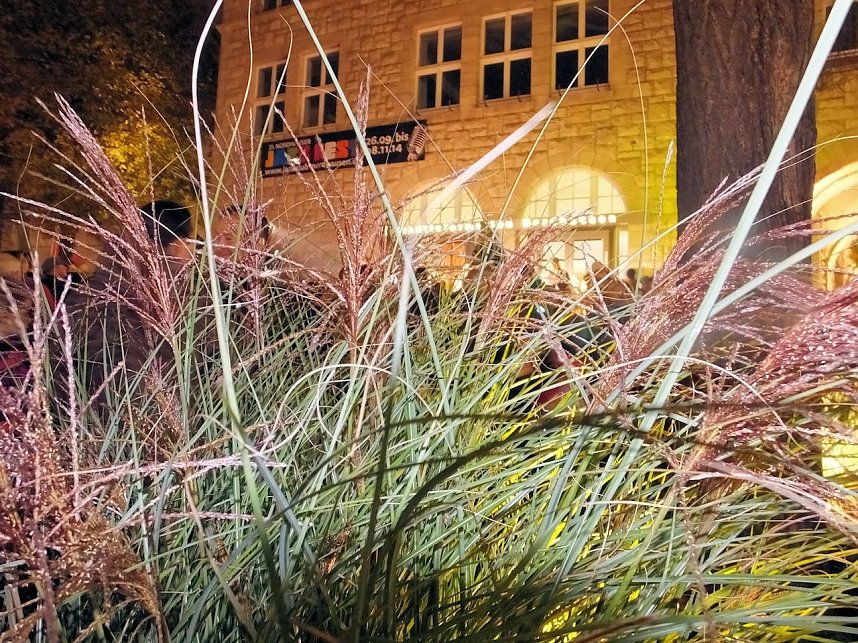 Das Martinsfest 2014 auf dem Theaterplatz