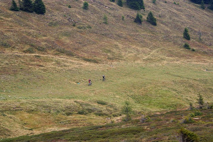 Wiese vor der Linderalm H&uuml;tte