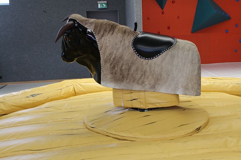 Aus Tr&auml;umen wird Wirklichkeit