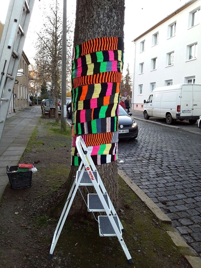 Die Apotheke am Theater versucht sich im "Urban Knitting" und packt ihre B&auml;ume warm ein