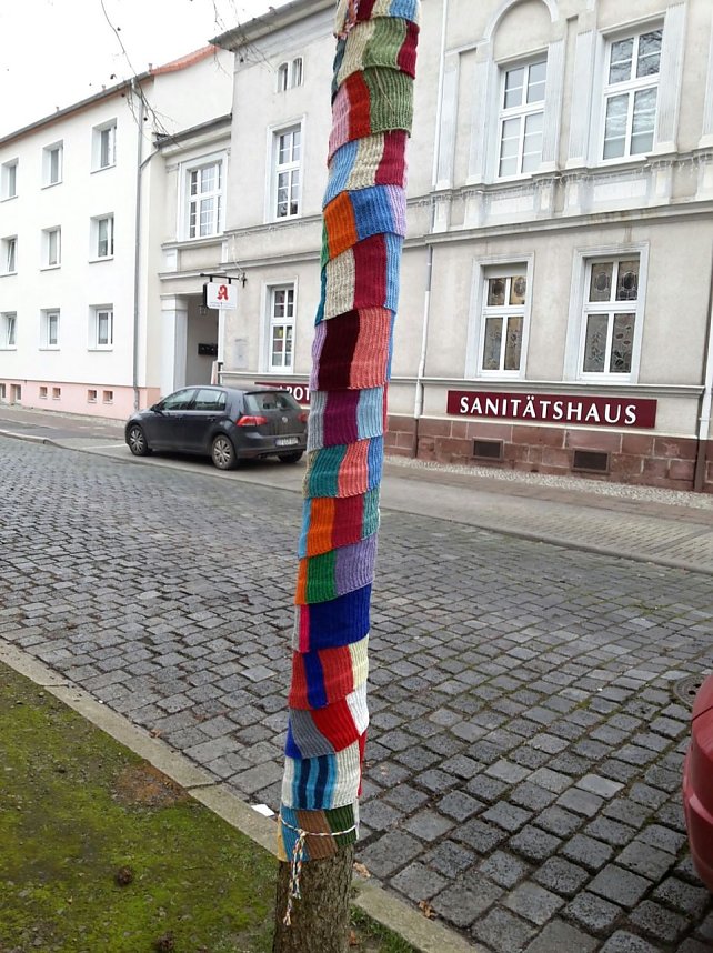Die Apotheke am Theater versucht sich im "Urban Knitting" und packt ihre B&auml;ume warm ein