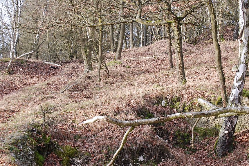 Bewaldete H&auml;nge des Winkelbergmassivs mit dem typisch bewegten Karstgel&auml;nde