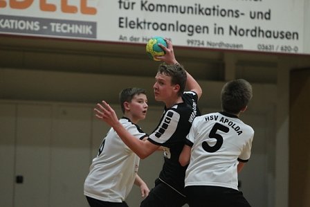 Die Handballer des NSV gewannen an diesem Wochenende 5 von 6 Spielen