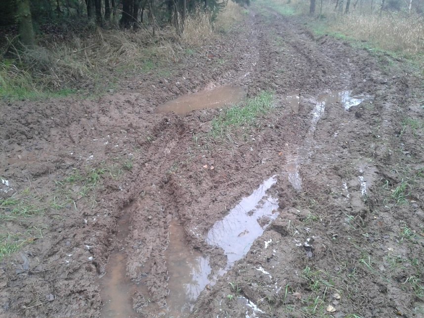 100 Kilometer von Halle nach Nordhausen