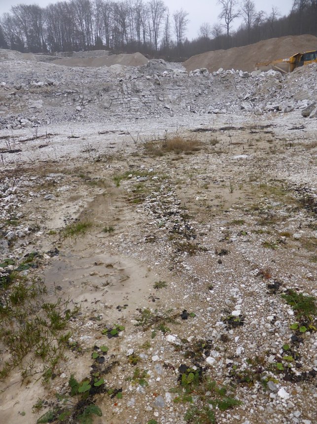 Bilder sollen Bohrungen dokumentieren