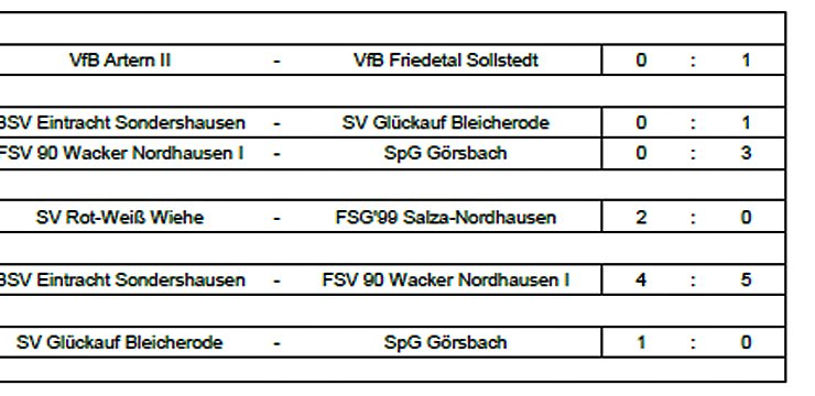 Meister bei D-Junioren ermittelt