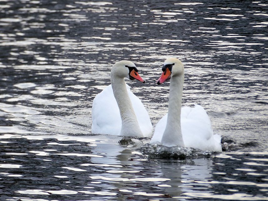 Unterwegs in Ilsenburg
