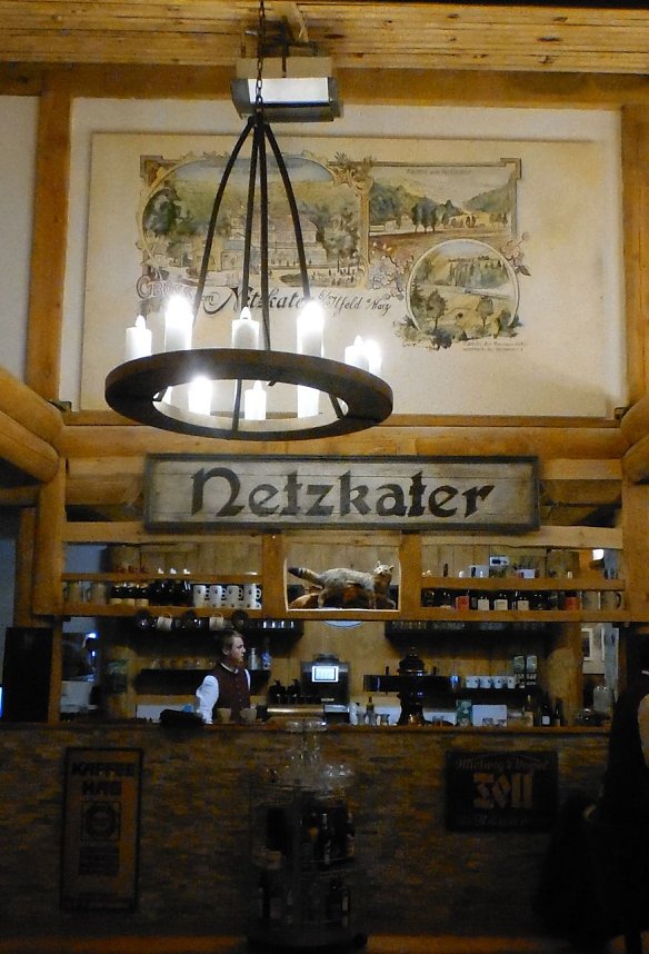 Der "neue" Netzkater