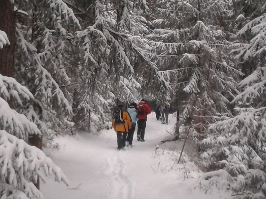 100 Kilometer durchs Vogtland