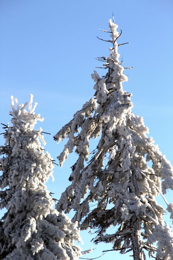 Neujahr auf dem Brocken