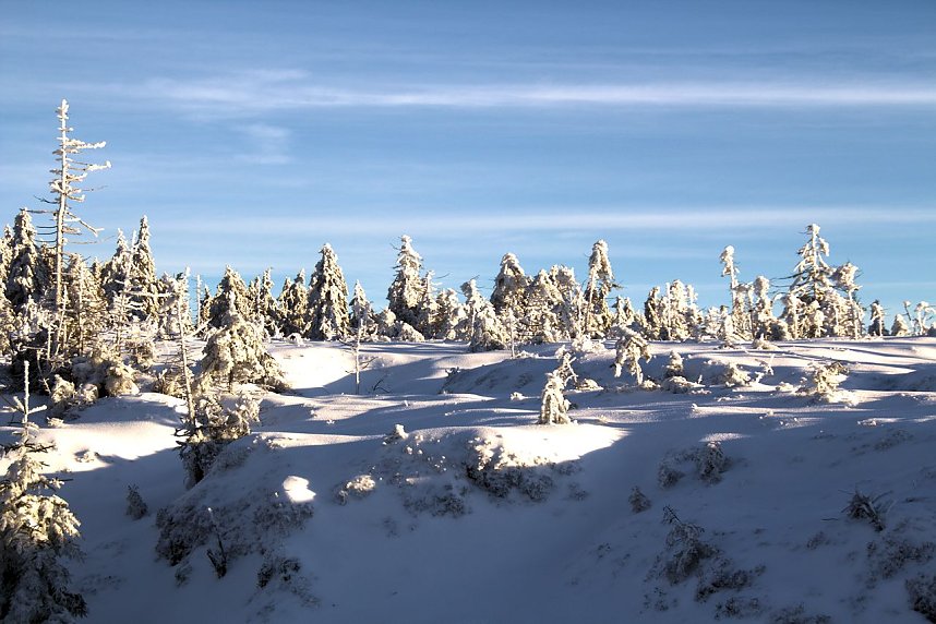 Neujahr auf dem Brocken