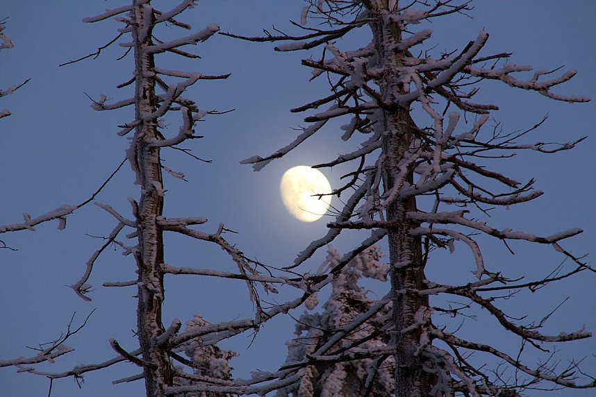 Neujahr auf dem Brocken