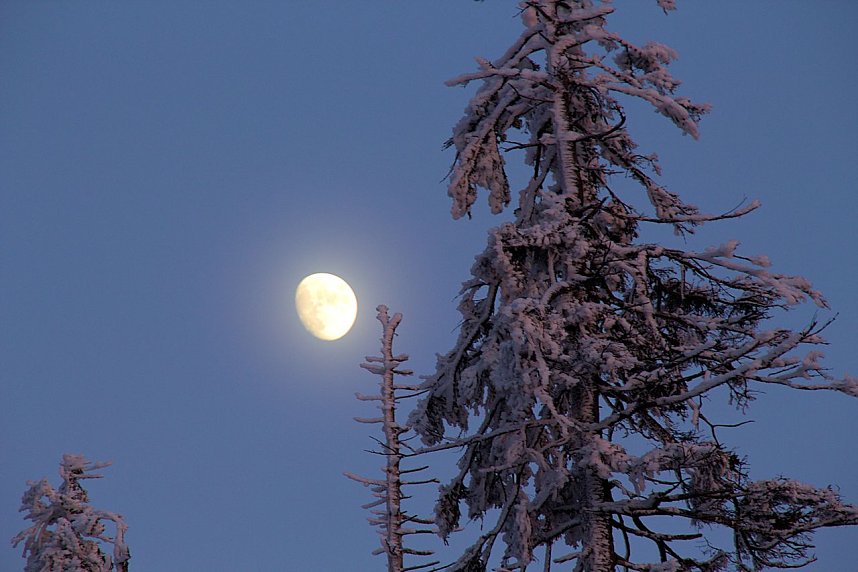 Neujahr auf dem Brocken