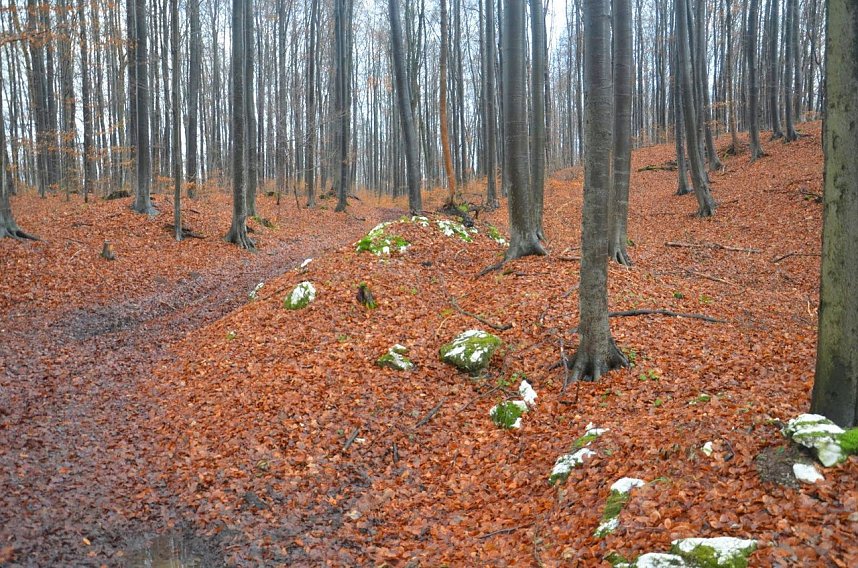 Protest gegen Probebohrungen