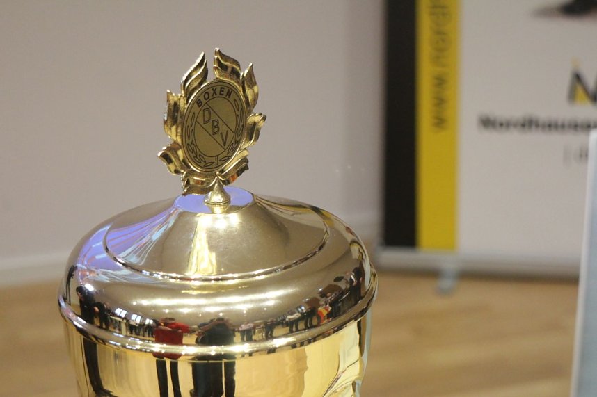 Die Boxer des Nordh&auml;user Sportvereins wurden heute im B&uuml;rgerhaus geehrt