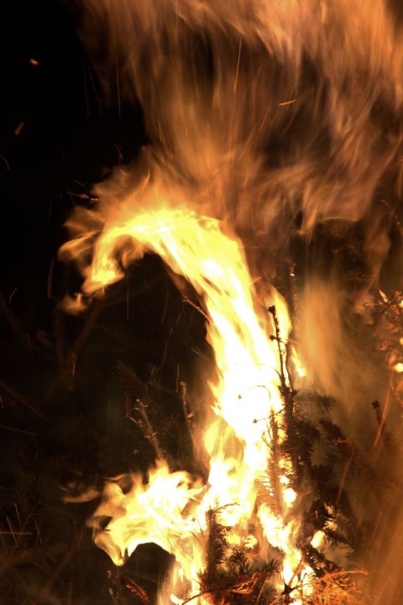 Heringen feierte ein feuriges "Knut" - Fest und entledigte sich seiner alten Weihnachtsb&auml;ume