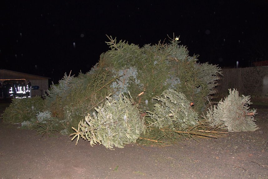 Heringen feierte ein feuriges "Knut" - Fest und entledigte sich seiner alten Weihnachtsb&auml;ume