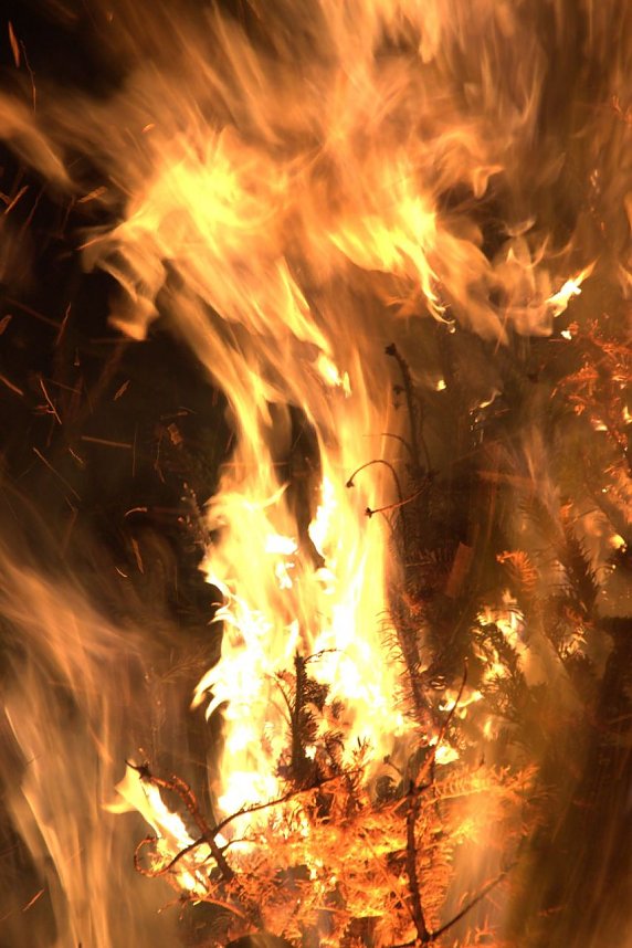 Heringen feierte ein feuriges "Knut" - Fest und entledigte sich seiner alten Weihnachtsb&auml;ume