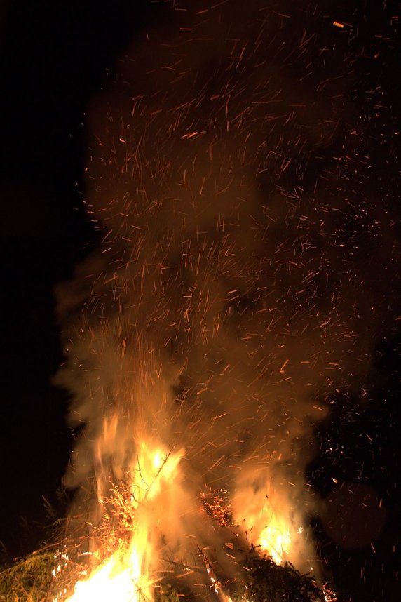 Heringen feierte ein feuriges "Knut" - Fest und entledigte sich seiner alten Weihnachtsb&auml;ume