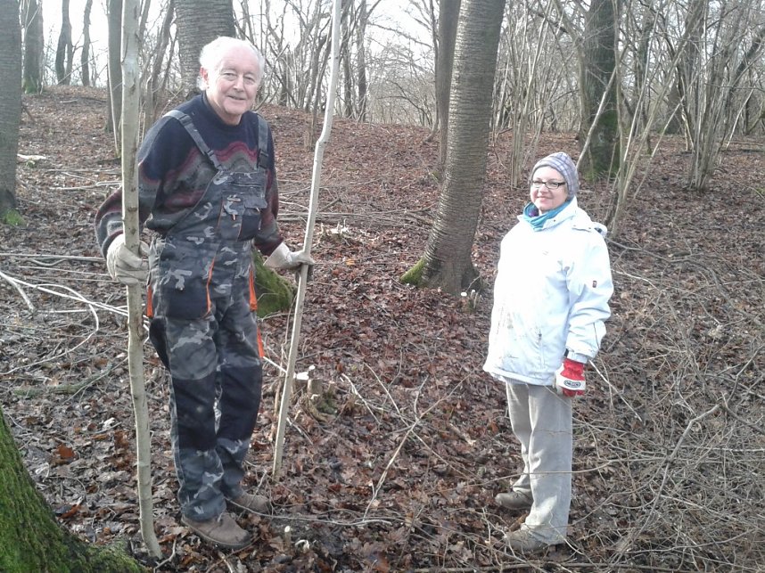 Sonderneinsatz f&uuml;r eine Blume - der BUND Nordhausen legte sich am Wochenende f&uuml;r das Blasse Knabenkraut ins Zeug