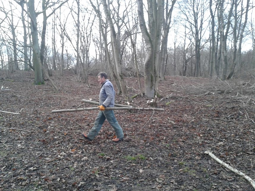 Sonderneinsatz f&uuml;r eine Blume - der BUND Nordhausen legte sich am Wochenende f&uuml;r das Blasse Knabenkraut ins Zeug