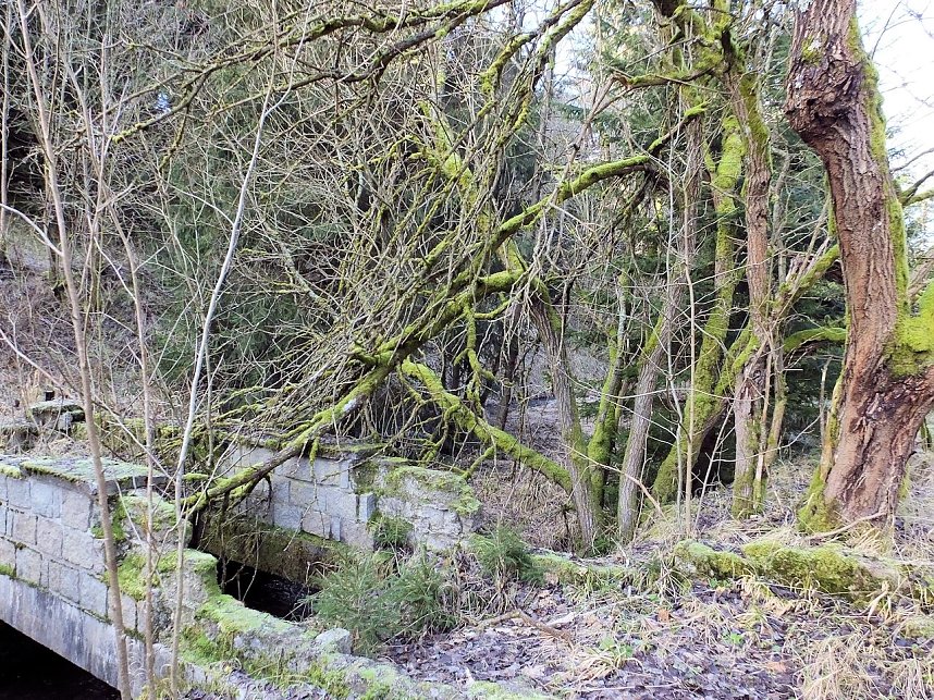 Myteri&ouml;ser Ort im Harz