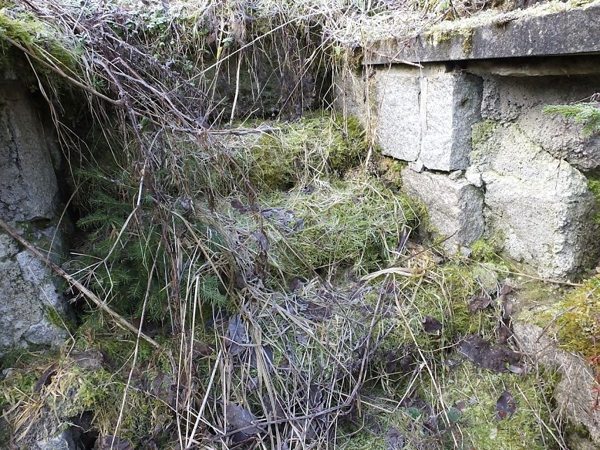 Myteri&ouml;ser Ort im Harz