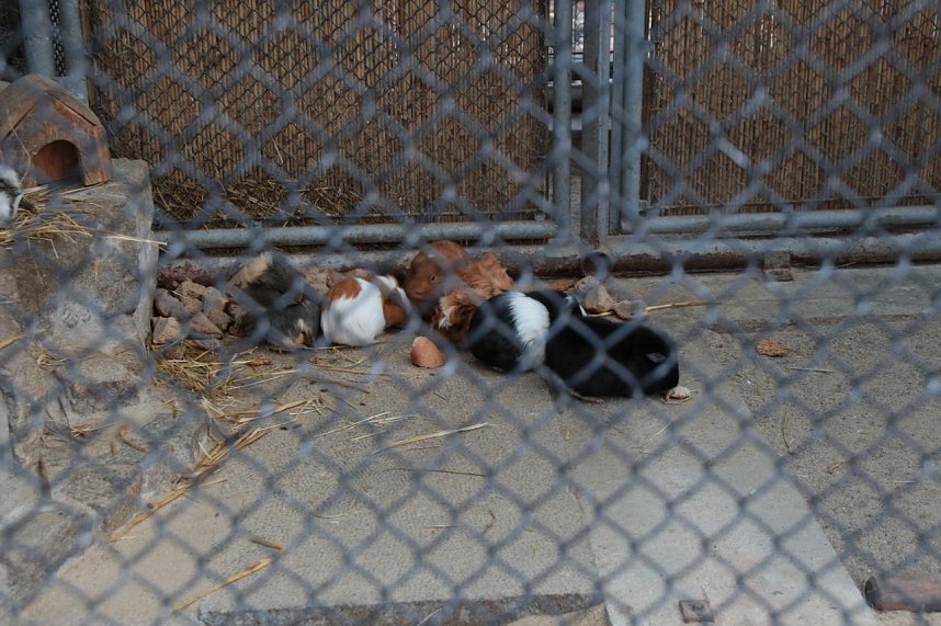 Besuch im Werniger&ouml;der Tierpark
