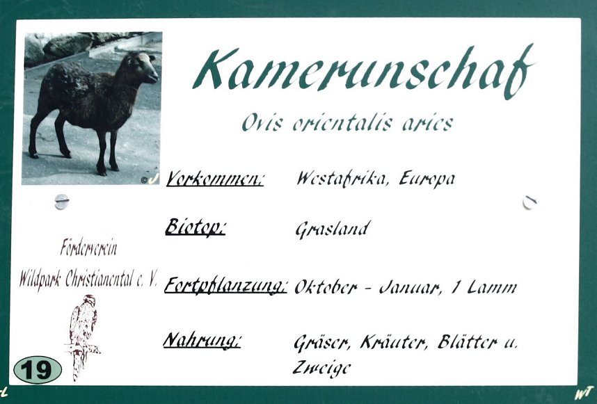 Besuch im Werniger&ouml;der Tierpark