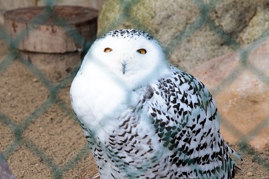 Besuch im Werniger&ouml;der Tierpark