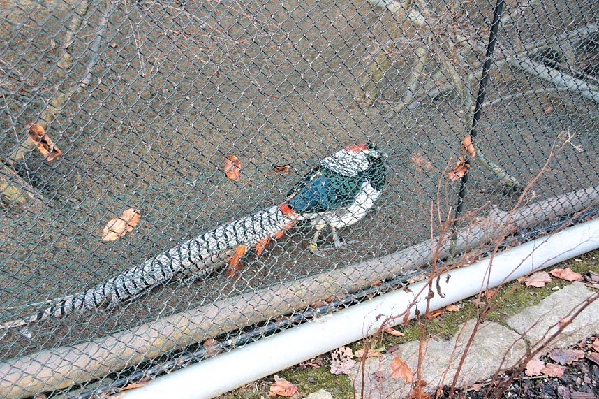 Besuch im Werniger&ouml;der Tierpark
