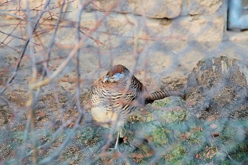 Besuch im Werniger&ouml;der Tierpark