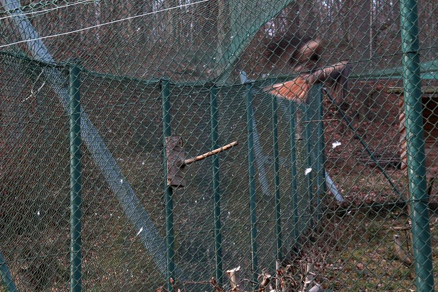 Besuch im Werniger&ouml;der Tierpark