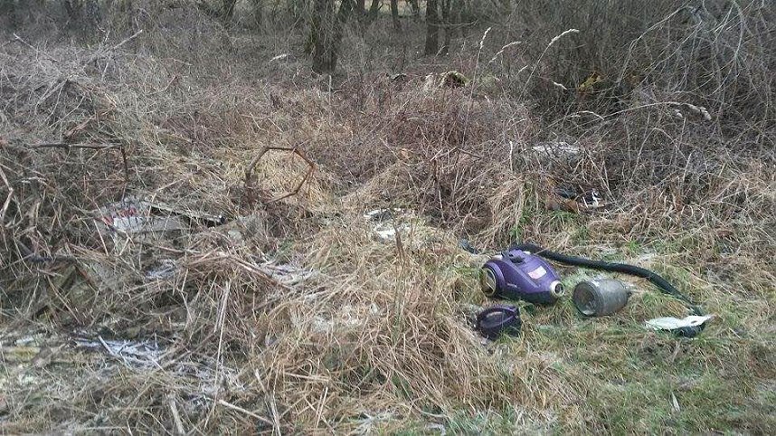 M&uuml;llberg im Naturschutzgebiet zwischen Niedersachswerfen und Woffleben